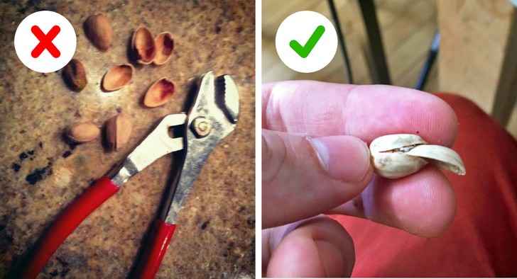 Ảnh: BrightSide Ảnh: BrightSide