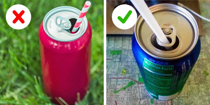 Ảnh: BrightSide Ảnh: BrightSide