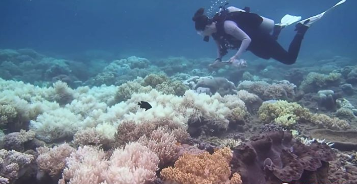 Ảnh: BrightSide Ảnh: BrightSide