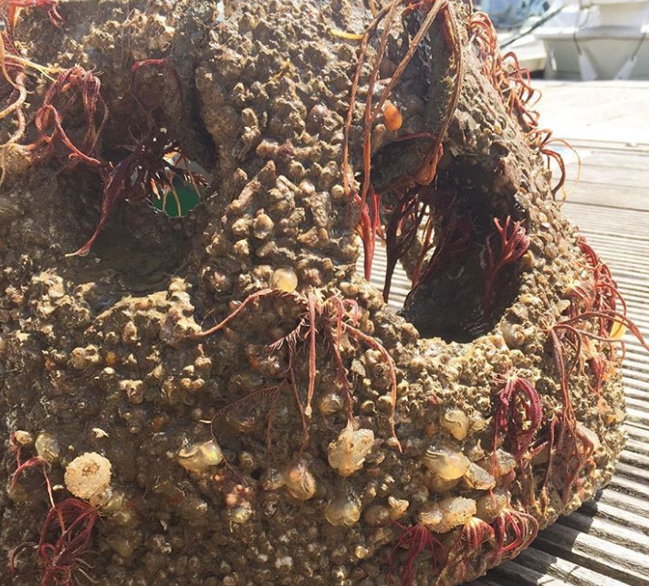 Ảnh: BrightSide Ảnh: BrightSide