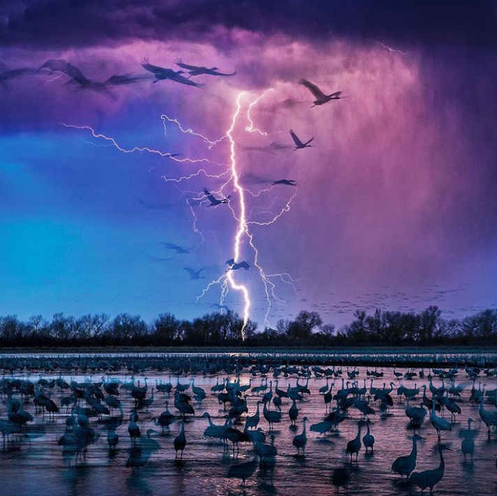 Ảnh: BrightSide Ảnh: BrightSide