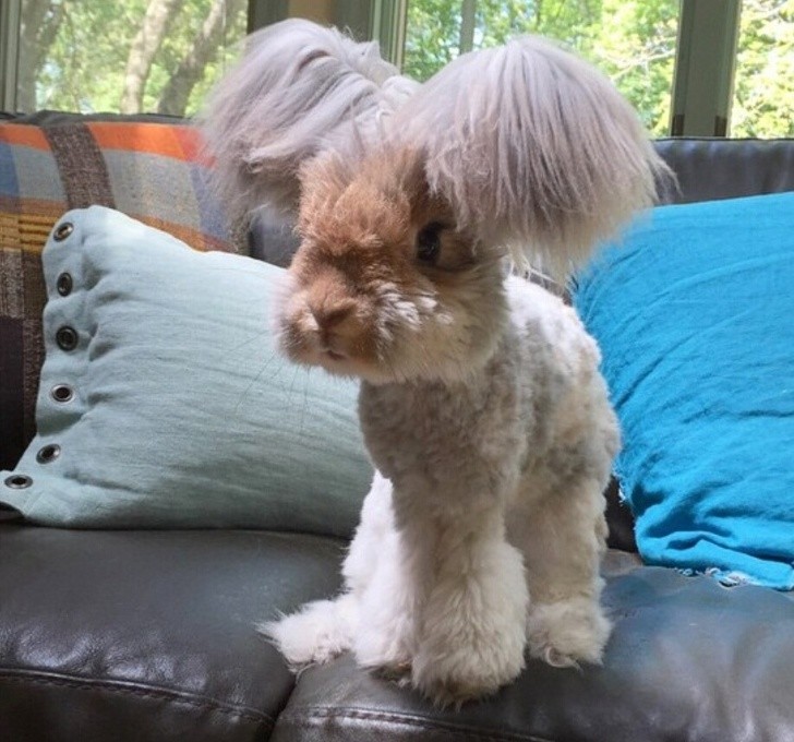 Ảnh: BrightSide Ảnh :BrightSide