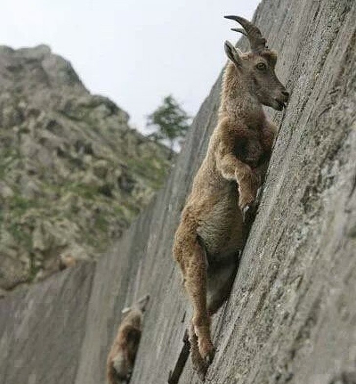 Ảnh: BrightSide Ảnh :BrightSide