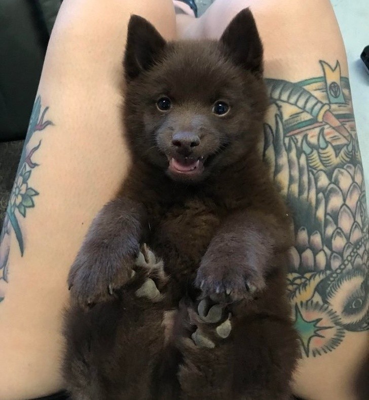 Ảnh: BrightSide Ảnh :BrightSide