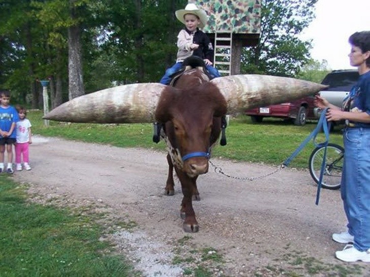 Ảnh: BrightSide Ảnh :BrightSide