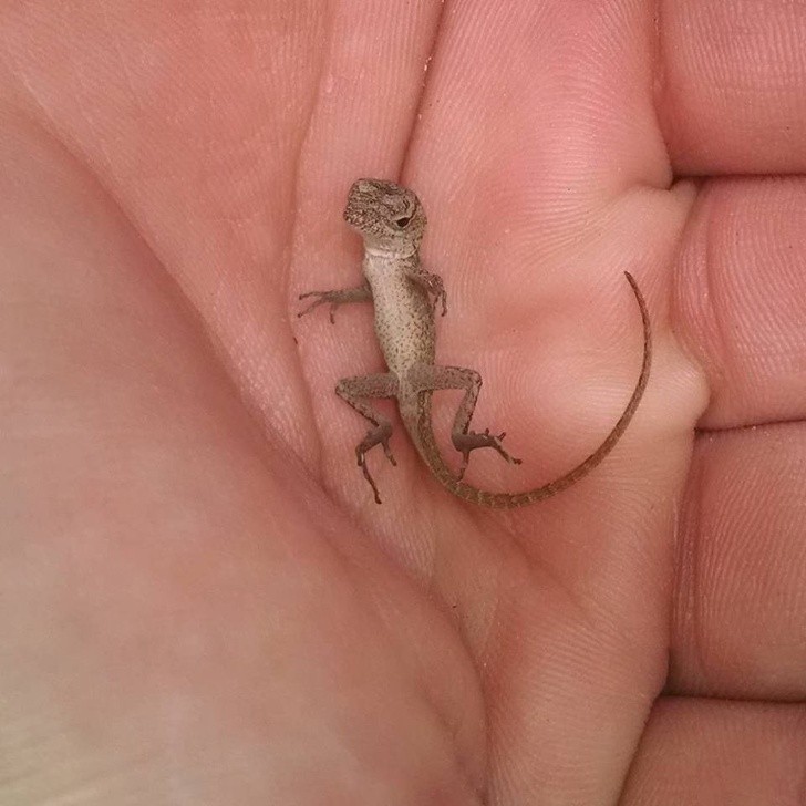 Ảnh: BrightSide Ảnh: BrightSide