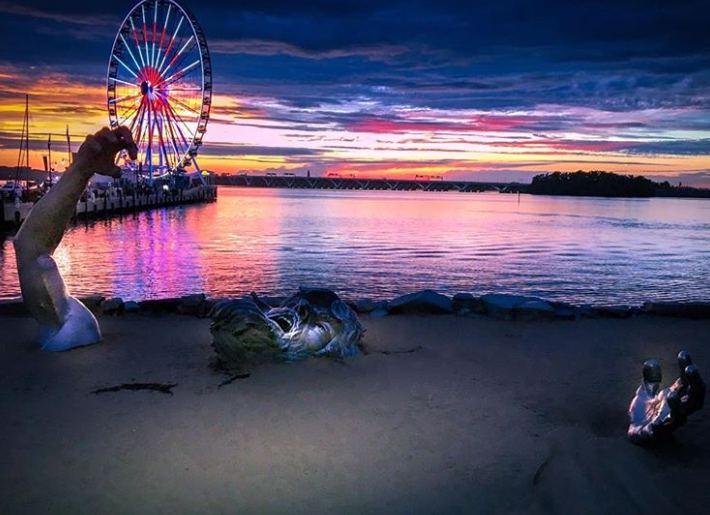 Ảnh: BrightSide Ảnh: BrightSide