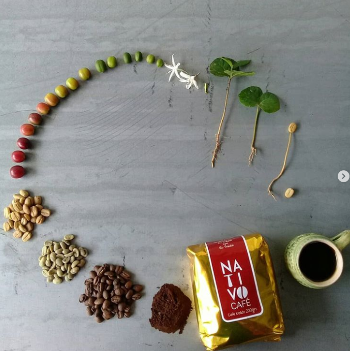 Ảnh: BrightSide Ảnh: BrightSide