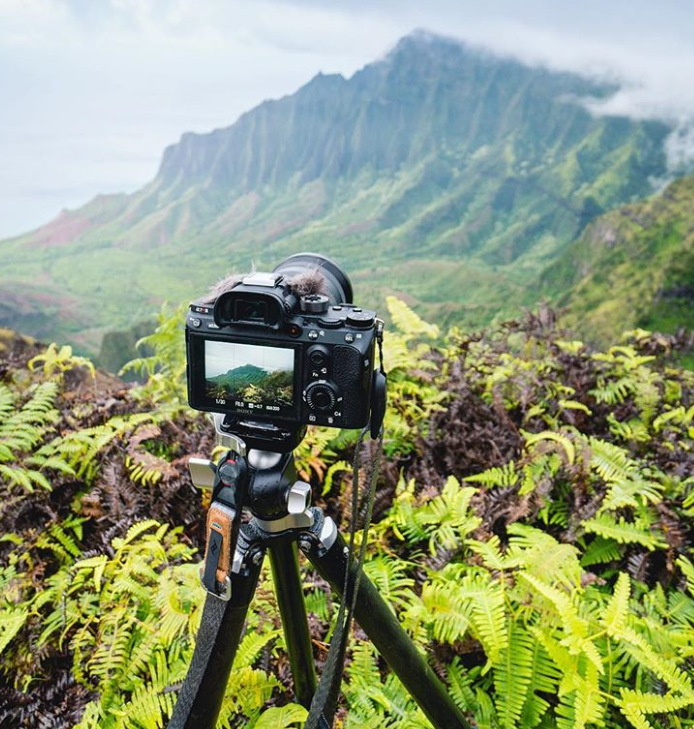 Ảnh: BrightSide Ảnh: BrightSide