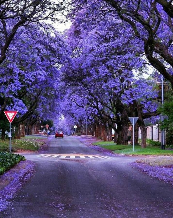 Ảnh: BrightSide Ảnh: BrightSide