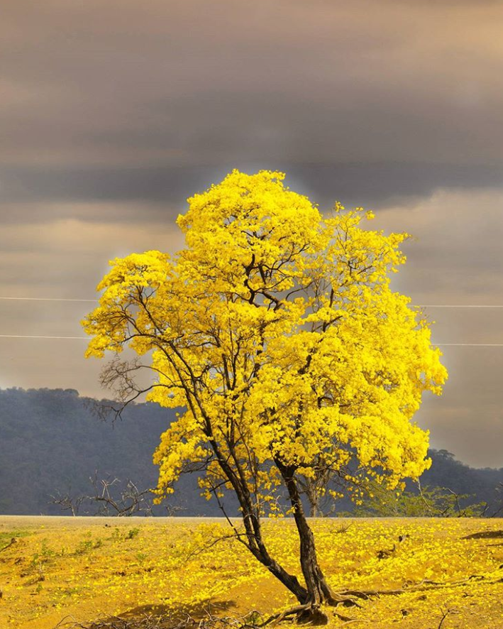 Ảnh: BrightSide Ảnh: BrightSide