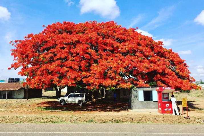 Ảnh: BrightSide Ảnh: BrightSide