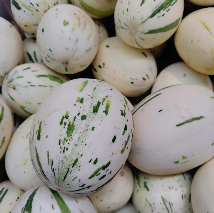 Ảnh: BrightSide Ảnh: BrightSide