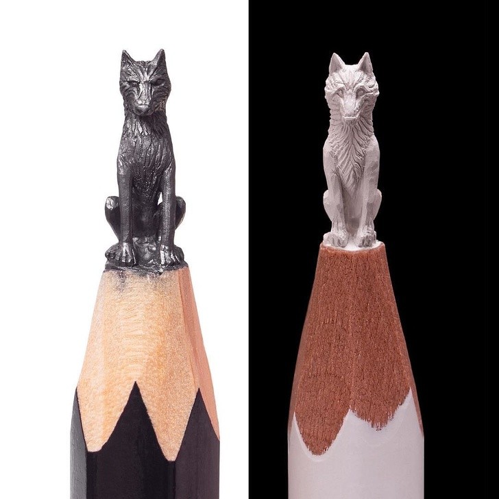 Ảnh: BrightSide Ảnh: BrightSide