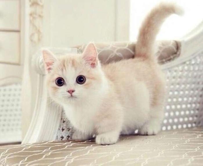 Ảnh: BrightSide Ảnh: BrightSide