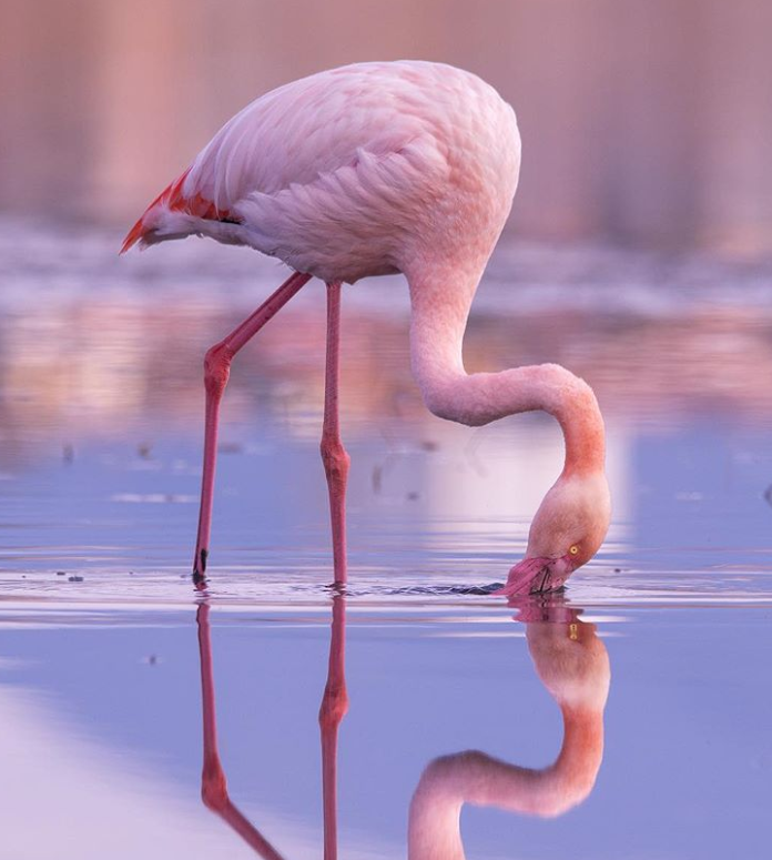 Ảnh: BrightSide Ảnh: BrightSide