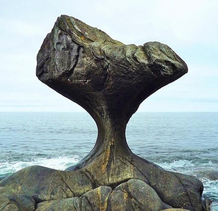 Ảnh: BrightSide Ảnh: BrightSide