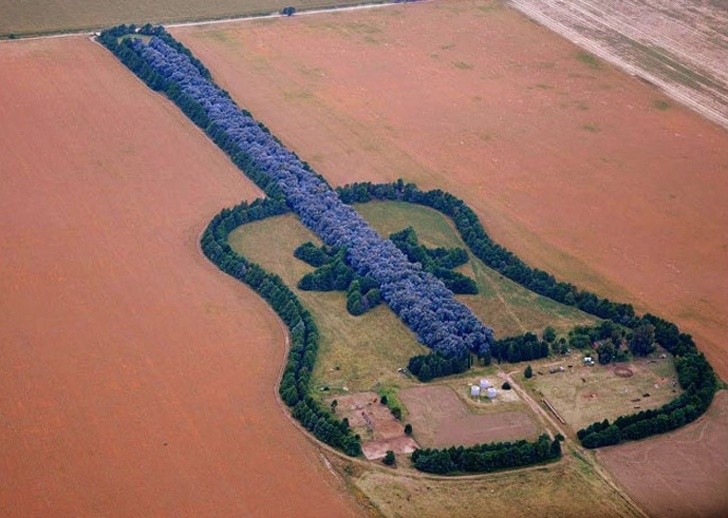 Ảnh: BrightSide Ảnh: BrightSide