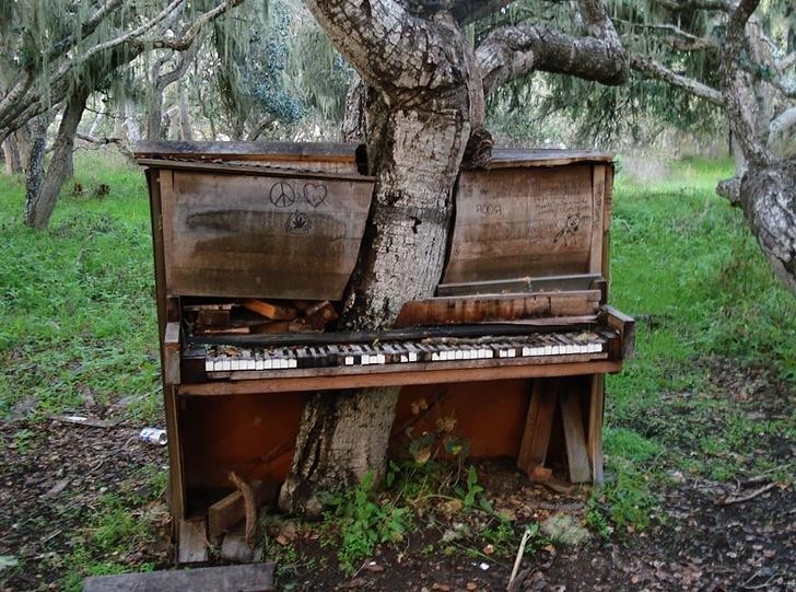 Ảnh: BrightSide Ảnh: BrightSide