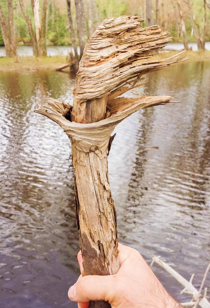 Ảnh: BrightSide Ảnh: BrightSide