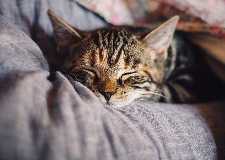 Ảnh: BrightSide Ảnh: BrightSide