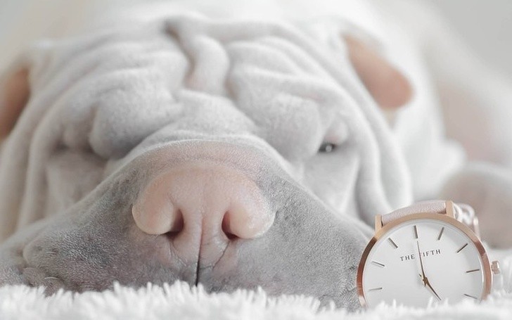 Ảnh: BrightSide Ảnh: BrightSide