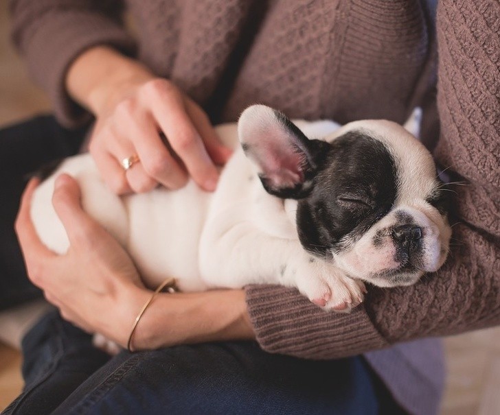 Ảnh: BrightSide Ảnh: BrightSide