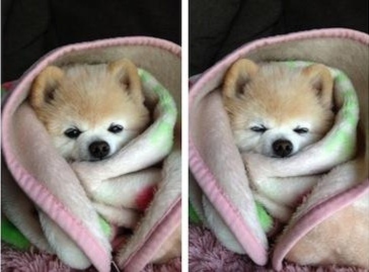 Ảnh: BrightSide Ảnh: BrightSide
