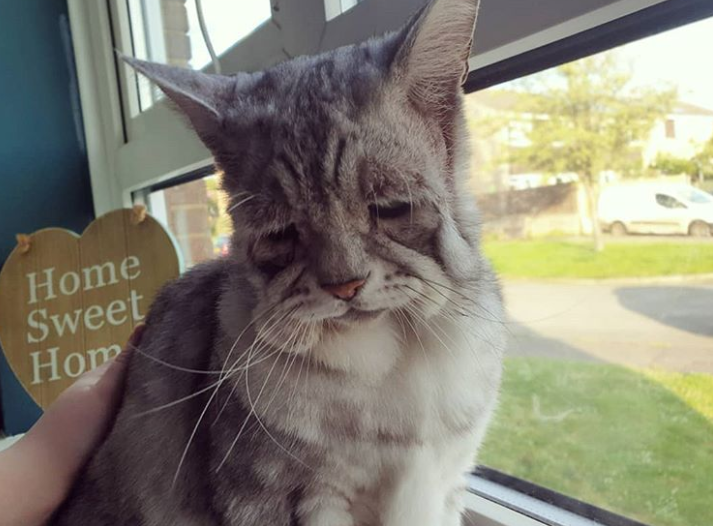 Ảnh: BrightSide Ảnh: BrightSide