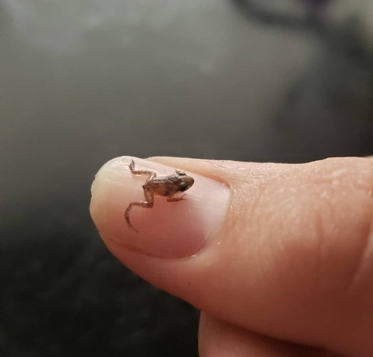 Ảnh: BrightSide Ảnh: BrightSide