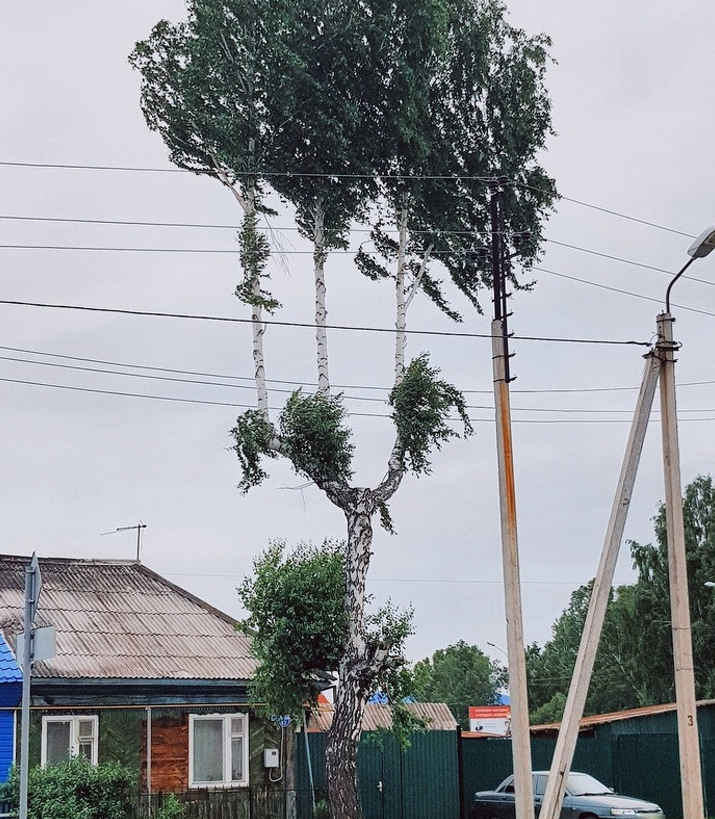 Ảnh: BrightSide Ảnh: BrightSide