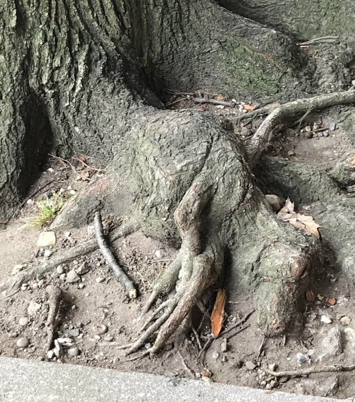 Ảnh: BrightSide Ảnh: BrightSide