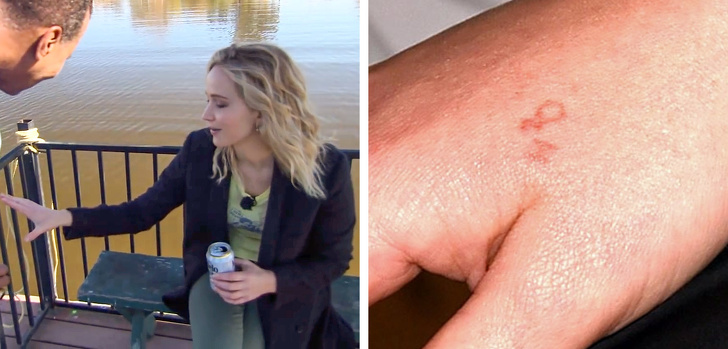 Ảnh: BrightSide Ảnh: BrightSide