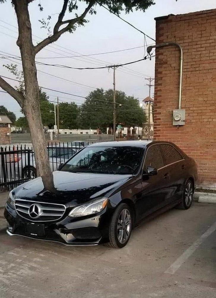 Ảnh: BrightSide Ảnh: BrightSide