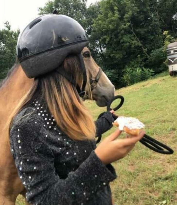 Ảnh: BrightSide Ảnh: BrightSide