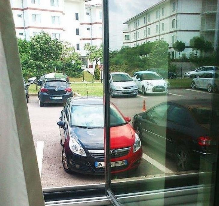 Ảnh: BrightSide Ảnh: BrightSide