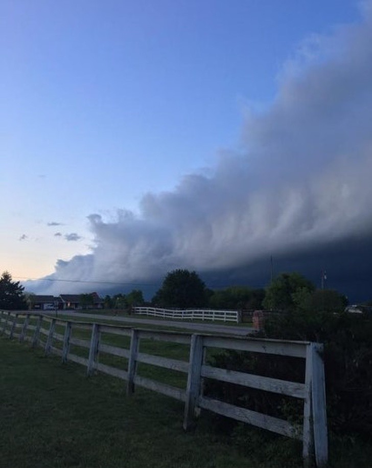 Ảnh: BrightSide Ảnh: BrightSide