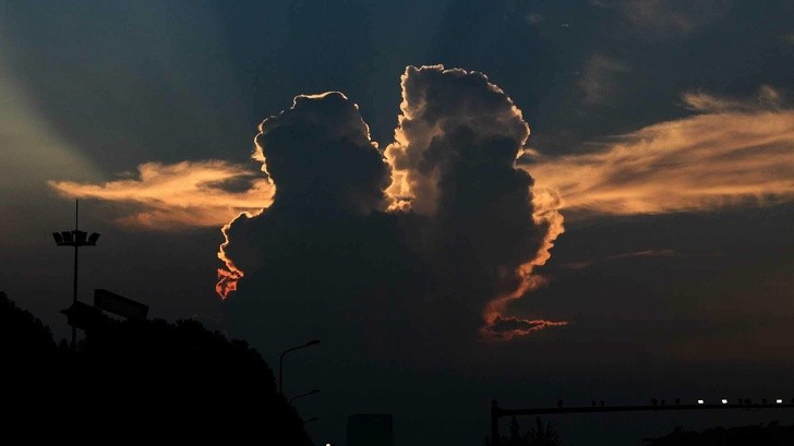 Ảnh: BrightSide Ảnh: BrightSide