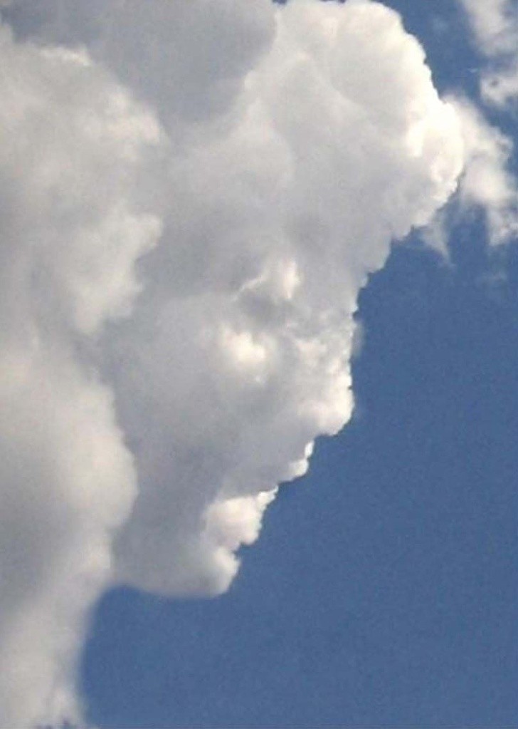 Ảnh: BrightSide Ảnh: BrightSide