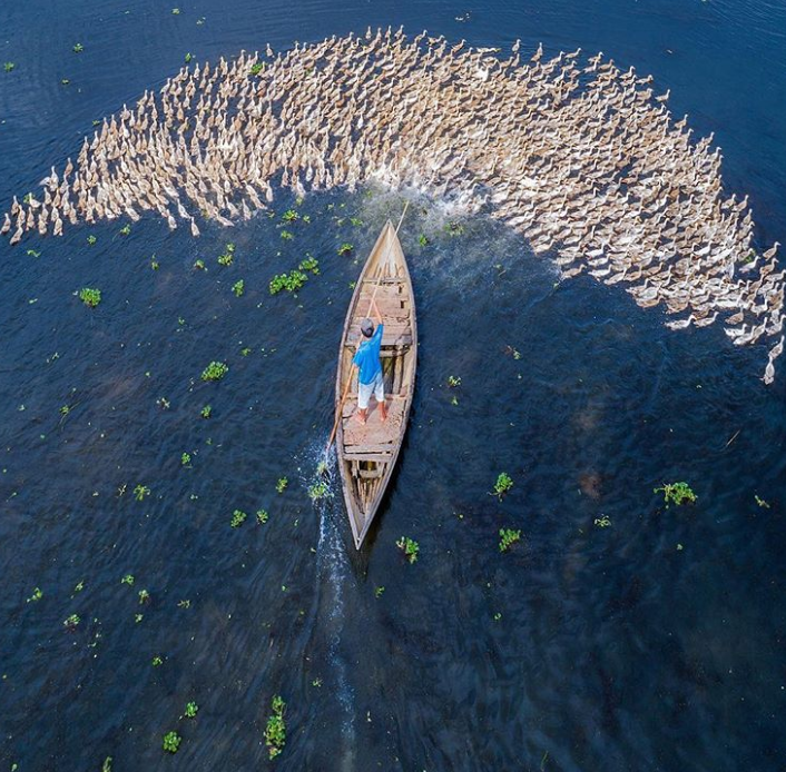 Ảnh: BrightSide Ảnh: BrightSide