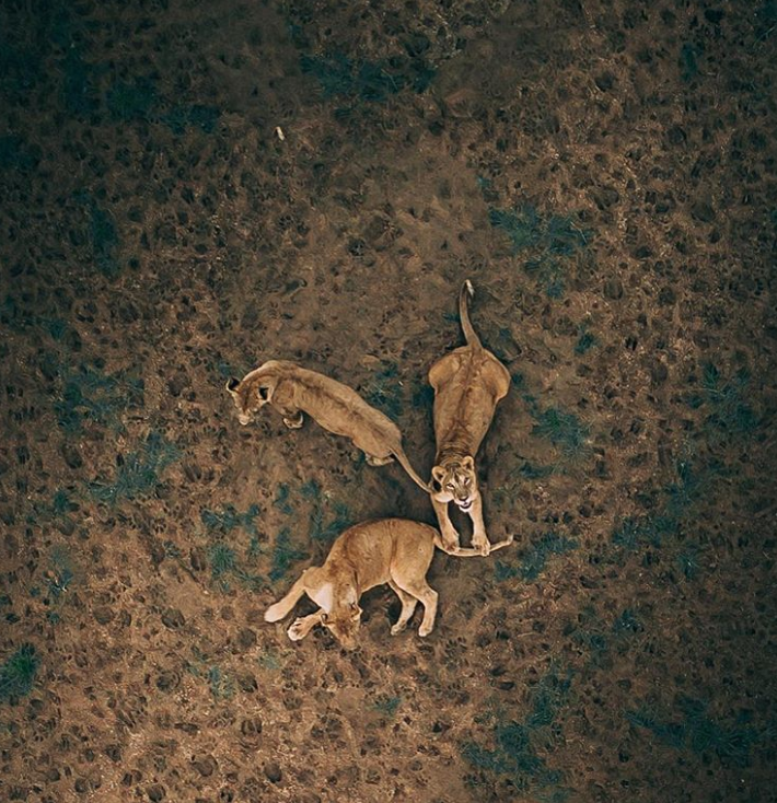 Ảnh: BrightSide Ảnh: BrightSide