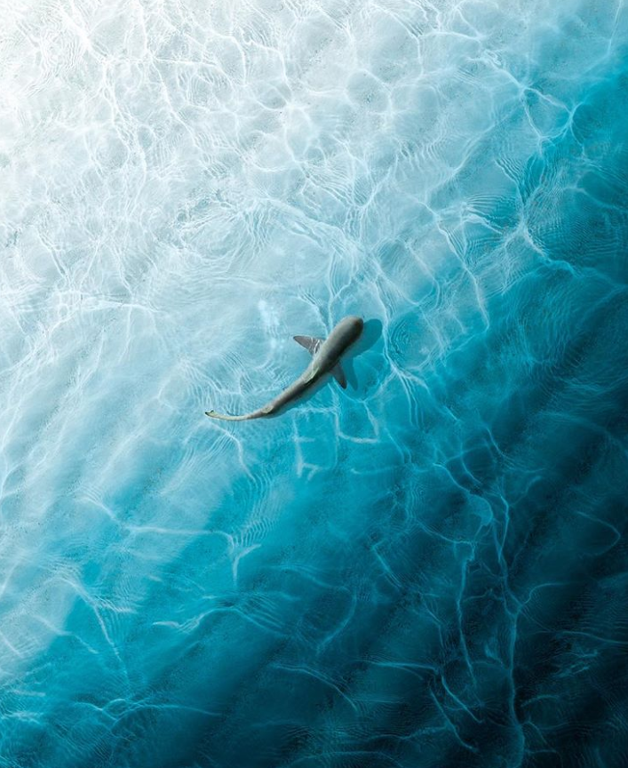 Ảnh: BrightSide Ảnh: BrightSide