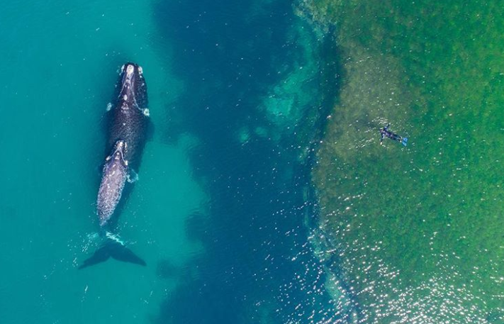 Ảnh: BrightSide Ảnh: BrightSide