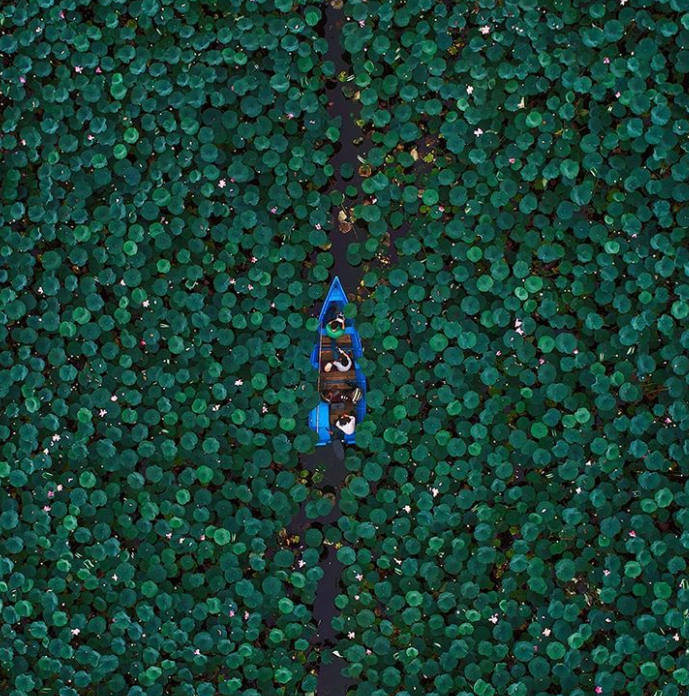 Ảnh: BrightSide Ảnh: BrightSide