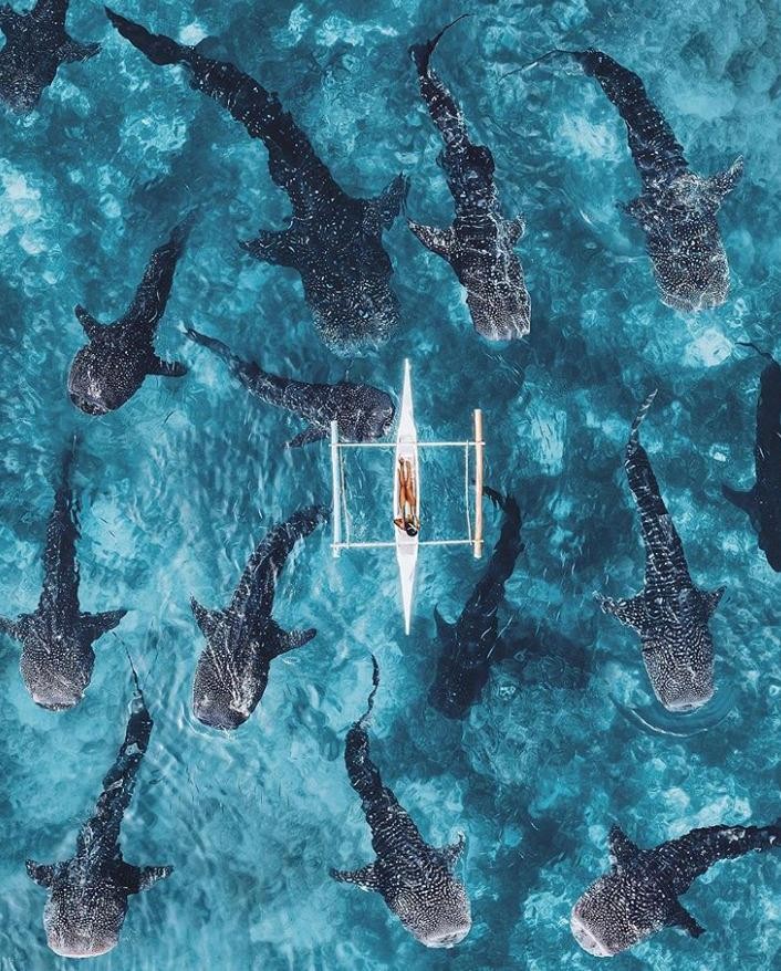 Ảnh: BrightSide Ảnh: BrightSide