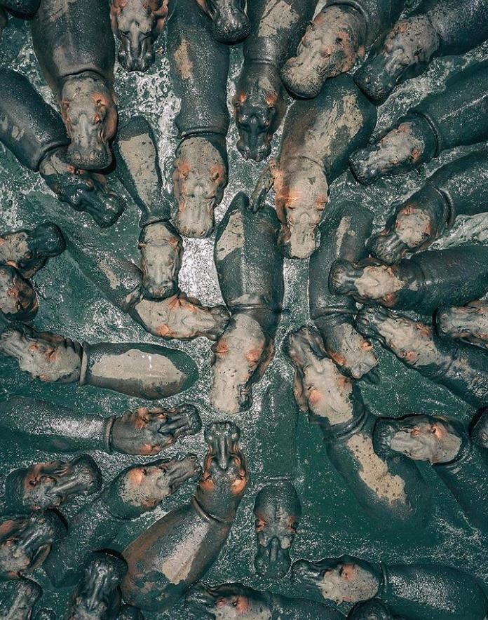 Ảnh: BrightSide Ảnh: BrightSide