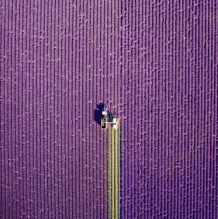 Ảnh: BrightSide Ảnh: BrightSide