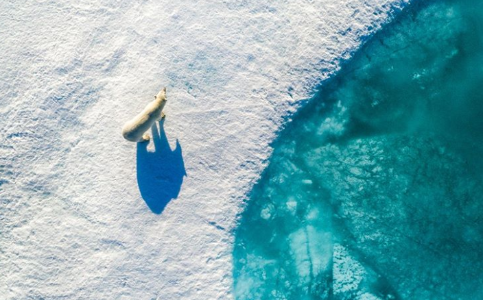 Ảnh: BrightSide Ảnh: BrightSide