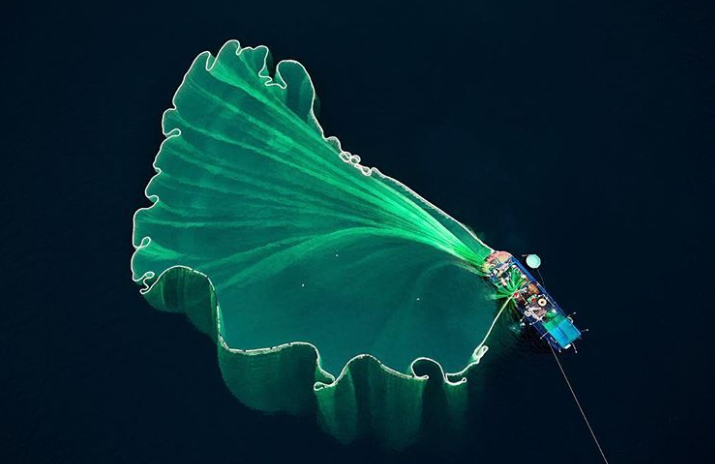 Ảnh: BrightSide Ảnh: BrightSide