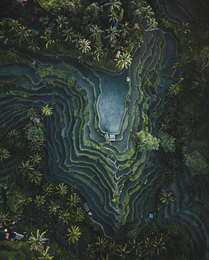 Ảnh: BrightSide Ảnh: BrightSide